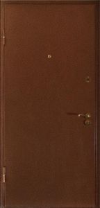 Дверь с порошковым напылением DZ317